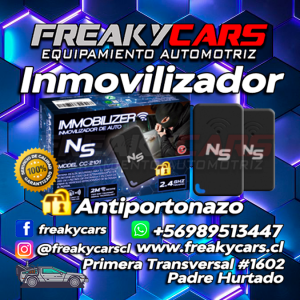 Inmovilizador 12V NS